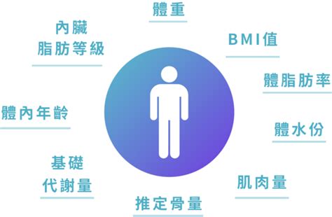 體型分析|專業體組成分析：了解體脂肪、肌肉、水分、細胞健康。